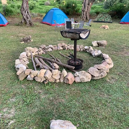 Campsite Camping Parknight