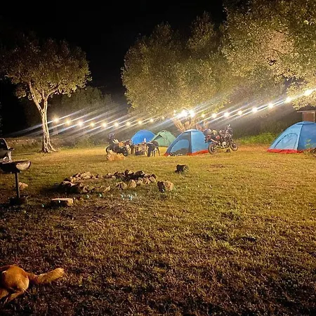Camping Parknight