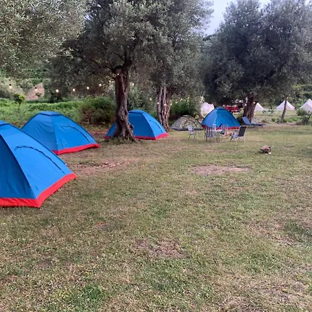 Camping Parknight Piqeras