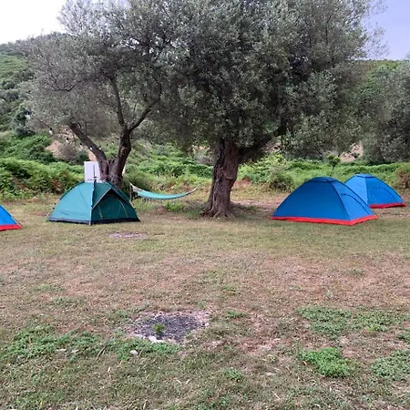Camping Parknight